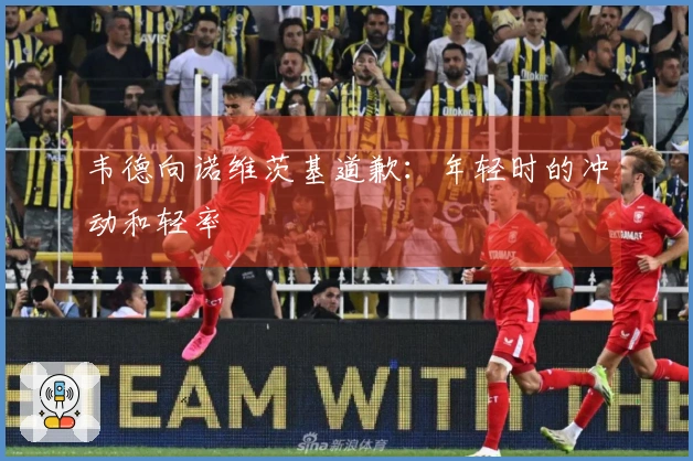 韦德向诺维茨基道歉：年轻时的冲动和轻率